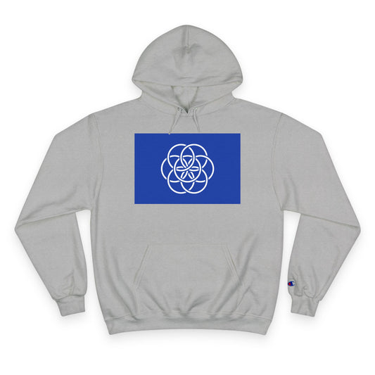 Champion Hoodie with Earth Flag Design, Cozy Sweatshirt, Casual Wear, Perfect for Relaxing or Outdoor Activities - Any Occasion Gift for Him/Her/Thay.