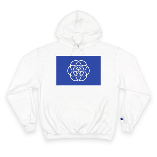 Champion Hoodie with Earth Flag Design, Cozy Sweatshirt, Casual Wear, Perfect for Relaxing or Outdoor Activities - Any Occasion Gift for Him/Her/Thay.